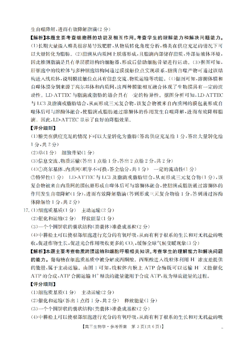 四川省2026届高三上学期10月联考（26-38C）生物答案_2025年10月_251020金太阳&middot;四川省2026届高三上学期10月联考（26-38C）（全科）