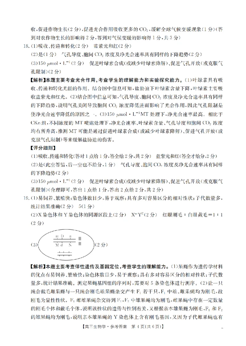 四川省2026届高三上学期10月联考（26-38C）生物答案_2025年10月_251020金太阳&middot;四川省2026届高三上学期10月联考（26-38C）（全科）