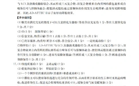 四川省2026届高三上学期10月联考（26-38C）生物答案_2025年10月_251020金太阳&middot;四川省2026届高三上学期10月联考（26-38C）（全科）