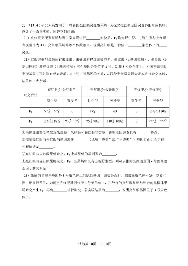 福建省厦门第一中学2025-2026学年高三上学期10月月考生物试题（含答案）_2025年10月_251017福建省厦门第一中学2025-2026学年高三上学期10月月考（全科）