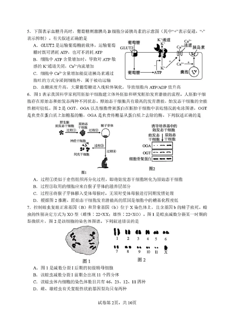 福建省厦门第一中学2025-2026学年高三上学期10月月考生物试题（含答案）_2025年10月_251017福建省厦门第一中学2025-2026学年高三上学期10月月考（全科）