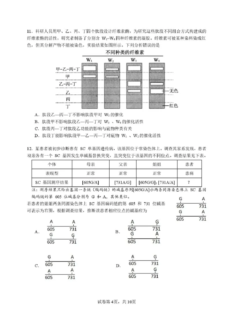福建省厦门第一中学2025-2026学年高三上学期10月月考生物试题（含答案）_2025年10月_251017福建省厦门第一中学2025-2026学年高三上学期10月月考（全科）