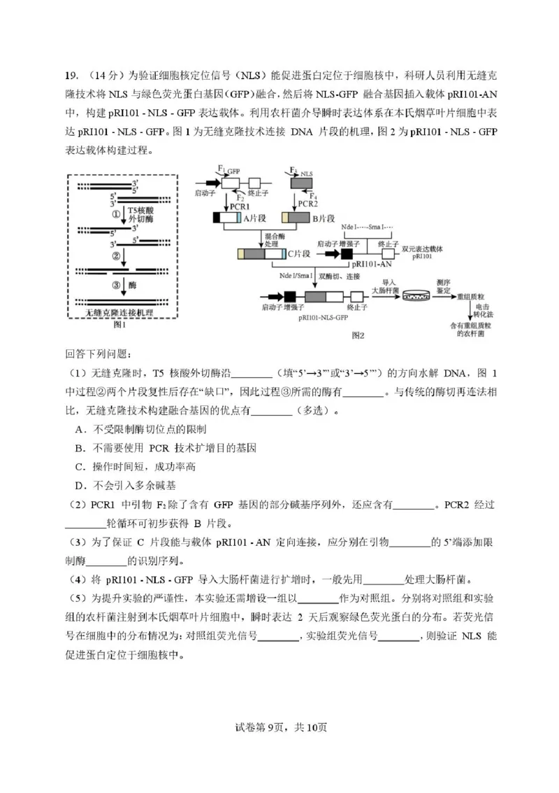 福建省厦门第一中学2025-2026学年高三上学期10月月考生物试题（含答案）_2025年10月_251017福建省厦门第一中学2025-2026学年高三上学期10月月考（全科）