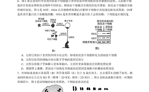 福建省厦门第一中学2025-2026学年高三上学期10月月考生物试题（含答案）_2025年10月_251017福建省厦门第一中学2025-2026学年高三上学期10月月考（全科）