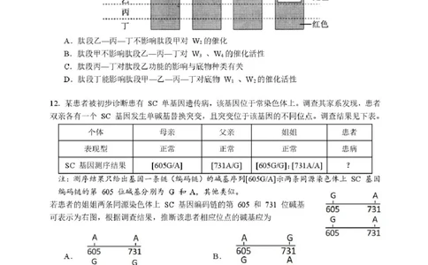 福建省厦门第一中学2025-2026学年高三上学期10月月考生物试题（含答案）_2025年10月_251017福建省厦门第一中学2025-2026学年高三上学期10月月考（全科）