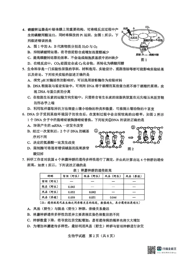 广西接班人教育2026届高中毕业班适应性测试生物_2025年10月_12026年试卷教辅资源等多个文件_251029基础教育高质量发展共同体&middot;广西接班人教育2026届高中毕业班适应性测试（全科）