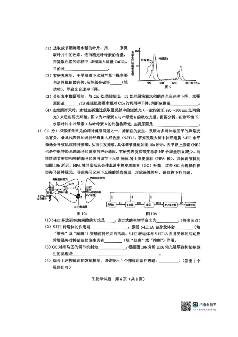 广西接班人教育2026届高中毕业班适应性测试生物_2025年10月_12026年试卷教辅资源等多个文件_251029基础教育高质量发展共同体&middot;广西接班人教育2026届高中毕业班适应性测试（全科）