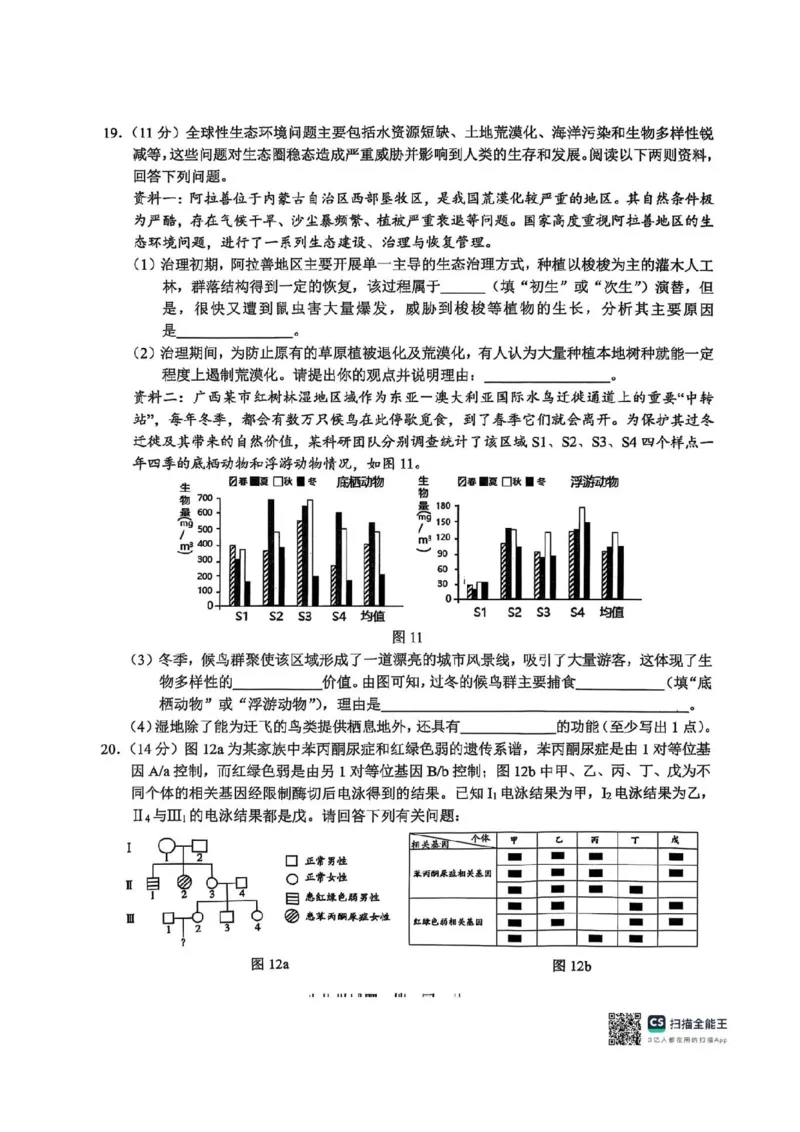 广西接班人教育2026届高中毕业班适应性测试生物_2025年10月_12026年试卷教辅资源等多个文件_251029基础教育高质量发展共同体&middot;广西接班人教育2026届高中毕业班适应性测试（全科）