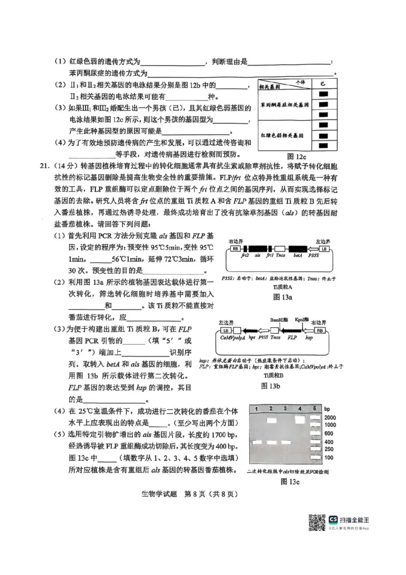 广西接班人教育2026届高中毕业班适应性测试生物_2025年10月_12026年试卷教辅资源等多个文件_251029基础教育高质量发展共同体&middot;广西接班人教育2026届高中毕业班适应性测试（全科）
