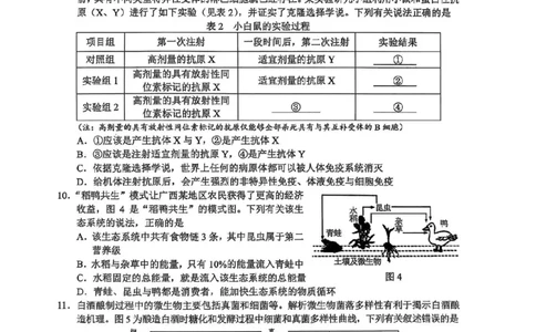 广西接班人教育2026届高中毕业班适应性测试生物_2025年10月_12026年试卷教辅资源等多个文件_251029基础教育高质量发展共同体&middot;广西接班人教育2026届高中毕业班适应性测试（全科）
