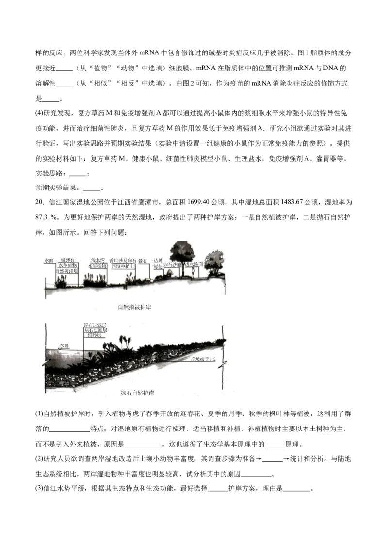 江西省六校2025届高三下学期3月第二次联考试题生物Word版含答案_2025年4月_250404江西省六校2025届高三下学期3月第二次联考试题（全科）