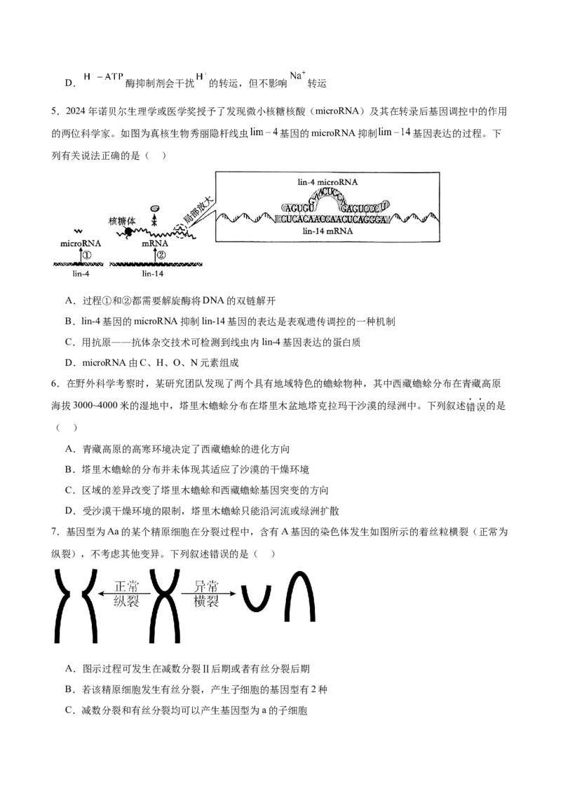 江西省六校2025届高三下学期3月第二次联考试题生物Word版含答案_2025年4月_250404江西省六校2025届高三下学期3月第二次联考试题（全科）