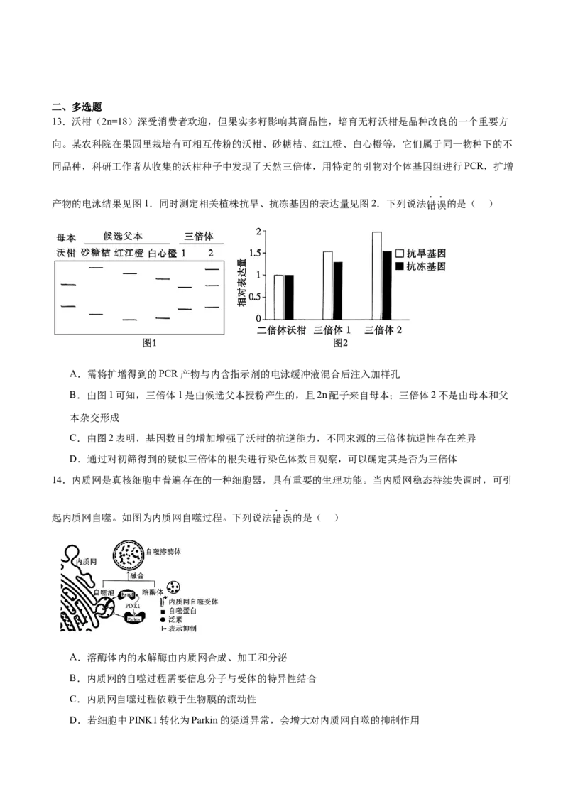 江西省六校2025届高三下学期3月第二次联考试题生物Word版含答案_2025年4月_250404江西省六校2025届高三下学期3月第二次联考试题（全科）