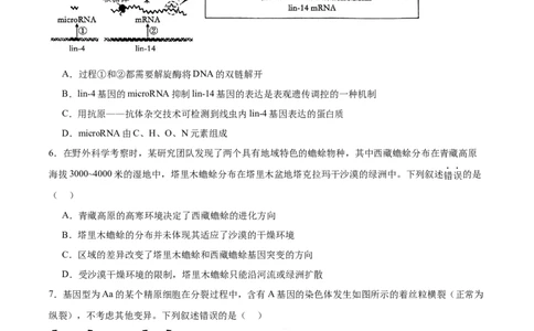 江西省六校2025届高三下学期3月第二次联考试题生物Word版含答案_2025年4月_250404江西省六校2025届高三下学期3月第二次联考试题（全科）