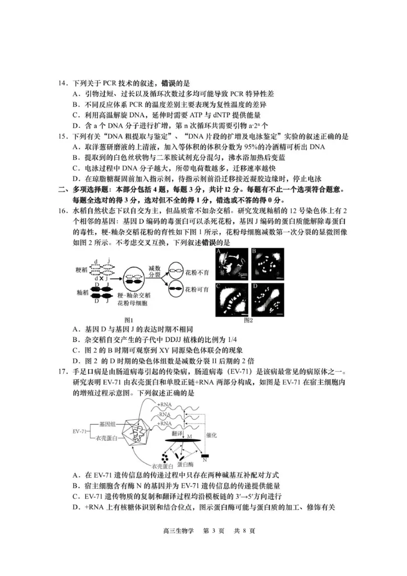 江苏省如皋市2025-2026学年高三上学期第一次教学质量调研生物学试题_2025年10月_12026年试卷教辅资源等多个文件