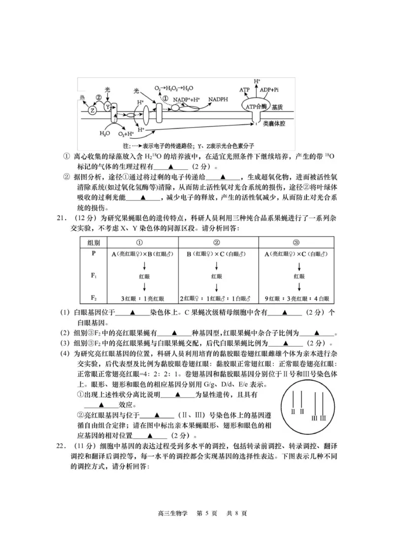 江苏省如皋市2025-2026学年高三上学期第一次教学质量调研生物学试题_2025年10月_12026年试卷教辅资源等多个文件