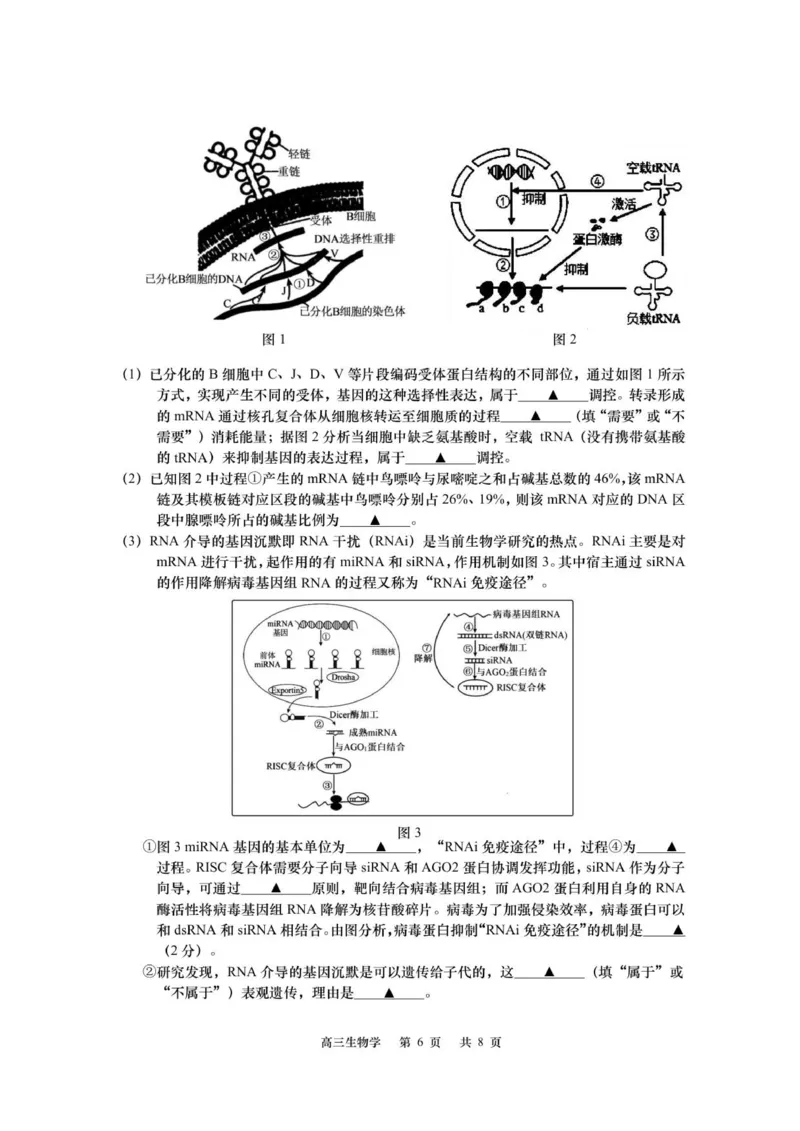 江苏省如皋市2025-2026学年高三上学期第一次教学质量调研生物学试题_2025年10月_12026年试卷教辅资源等多个文件