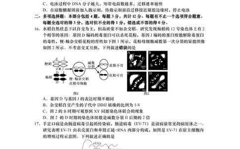 江苏省如皋市2025-2026学年高三上学期第一次教学质量调研生物学试题_2025年10月_12026年试卷教辅资源等多个文件
