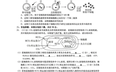 江苏省如皋市2025-2026学年高三上学期第一次教学质量调研生物学试题_2025年10月_12026年试卷教辅资源等多个文件