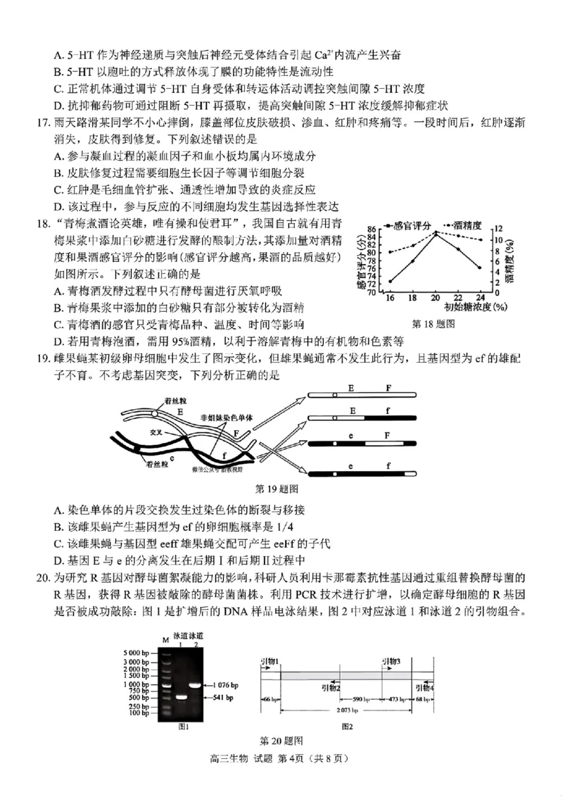 生物试题｜26届七彩阳光高三返校考_2025年8月_250830浙江省七彩阳光新高考研究联盟2026届高三上学期返校联考（全科）