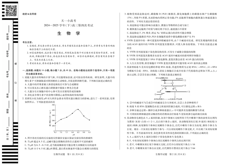 天一大联考&middot;天一小高考2024-2025学年（下）高三第四次考试生物_2025年5月_250510天一小高考2024-2025学年（下）高三第四次考试（全科）