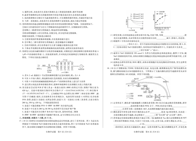 天一大联考&middot;天一小高考2024-2025学年（下）高三第四次考试生物_2025年5月_250510天一小高考2024-2025学年（下）高三第四次考试（全科）
