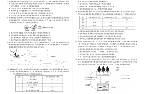 天一大联考&middot;天一小高考2024-2025学年（下）高三第四次考试生物_2025年5月_250510天一小高考2024-2025学年（下）高三第四次考试（全科）