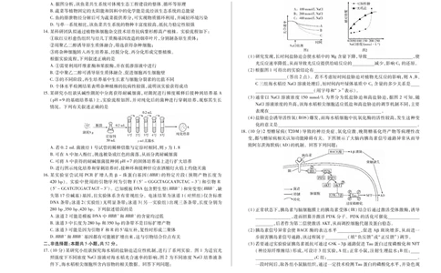天一大联考&middot;天一小高考2024-2025学年（下）高三第四次考试生物_2025年5月_250510天一小高考2024-2025学年（下）高三第四次考试（全科）
