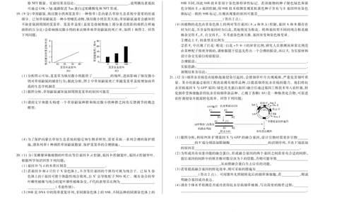 天一大联考&middot;天一小高考2024-2025学年（下）高三第四次考试生物_2025年5月_250510天一小高考2024-2025学年（下）高三第四次考试（全科）