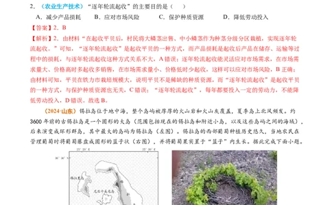 专题10农业2024年高考真题和模拟题地理分类汇编（教师卷）_近10年高考真题汇编（必刷）_十年（2014-2024）高考地理真题分项汇编（全国通用）