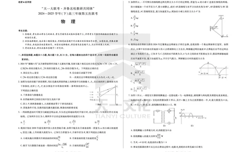 物理齐鲁名校高三五联_2025年4月_250401山东省天一大联考&middot;齐鲁名校教研体2024-2025学年（下）高三年级第五次联考（全科）
