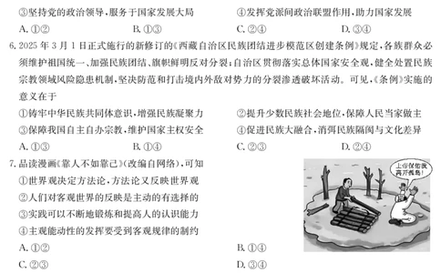 政治-4月质量检测（W）_2025年5月_250511湖北省九师联盟2025届高三4月质量检测（W）（全科）