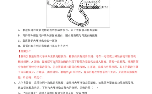 高二生物上学期第一次月考（安徽专用）（全解全析）_1多考区联考试卷_2510142025-2026学年高二生物上学期第一次月考试题