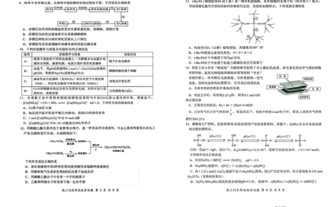 湖北云学联盟2026届高三上学期10月考试化学试卷_2025年10月_251020湖北云学联盟2026届高三上学期10月考试（全科）_湖北省云学联盟2026届高三上学期10月月考化学试卷（含答案）