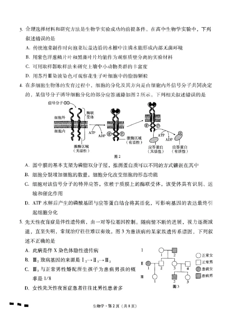 贵州省贵阳市七校2025届高三下学期联合考试（三）生物+答案_2025年4月_250412贵州省贵阳市七校2025届高三下学期联合考试（三）（全科）