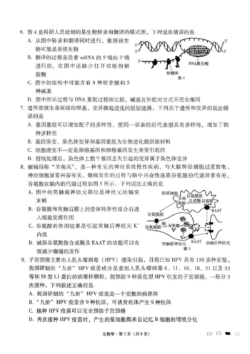 贵州省贵阳市七校2025届高三下学期联合考试（三）生物+答案_2025年4月_250412贵州省贵阳市七校2025届高三下学期联合考试（三）（全科）