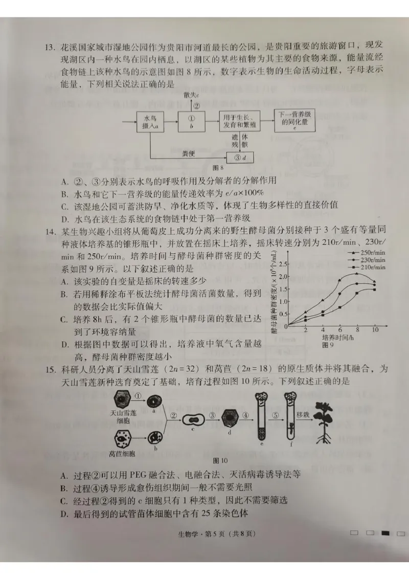 贵州省贵阳市七校2025届高三下学期联合考试（三）生物+答案_2025年4月_250412贵州省贵阳市七校2025届高三下学期联合考试（三）（全科）