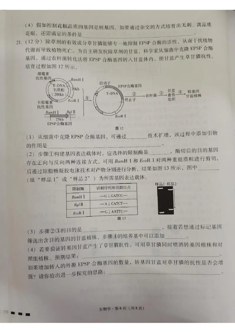 贵州省贵阳市七校2025届高三下学期联合考试（三）生物+答案_2025年4月_250412贵州省贵阳市七校2025届高三下学期联合考试（三）（全科）