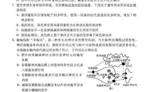 贵州省贵阳市七校2025届高三下学期联合考试（三）生物+答案_2025年4月_250412贵州省贵阳市七校2025届高三下学期联合考试（三）（全科）