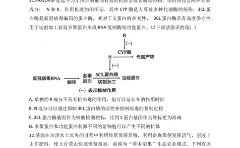 2023届新高考生物金榜猜题卷山东专版_2023高考押题卷_正确教育金榜猜题卷_（新高考）正确教育丨金榜猜题卷_新高考生物