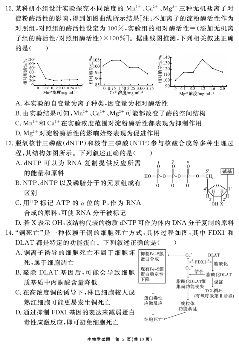 安徽省2025-2026学年度&ldquo;耀正优&rdquo;高三年级10月阶段检测生物_2025年10月_251017安徽省202-2026学年度&ldquo;耀正优&rdquo;高三年级10月阶段检测（全科）