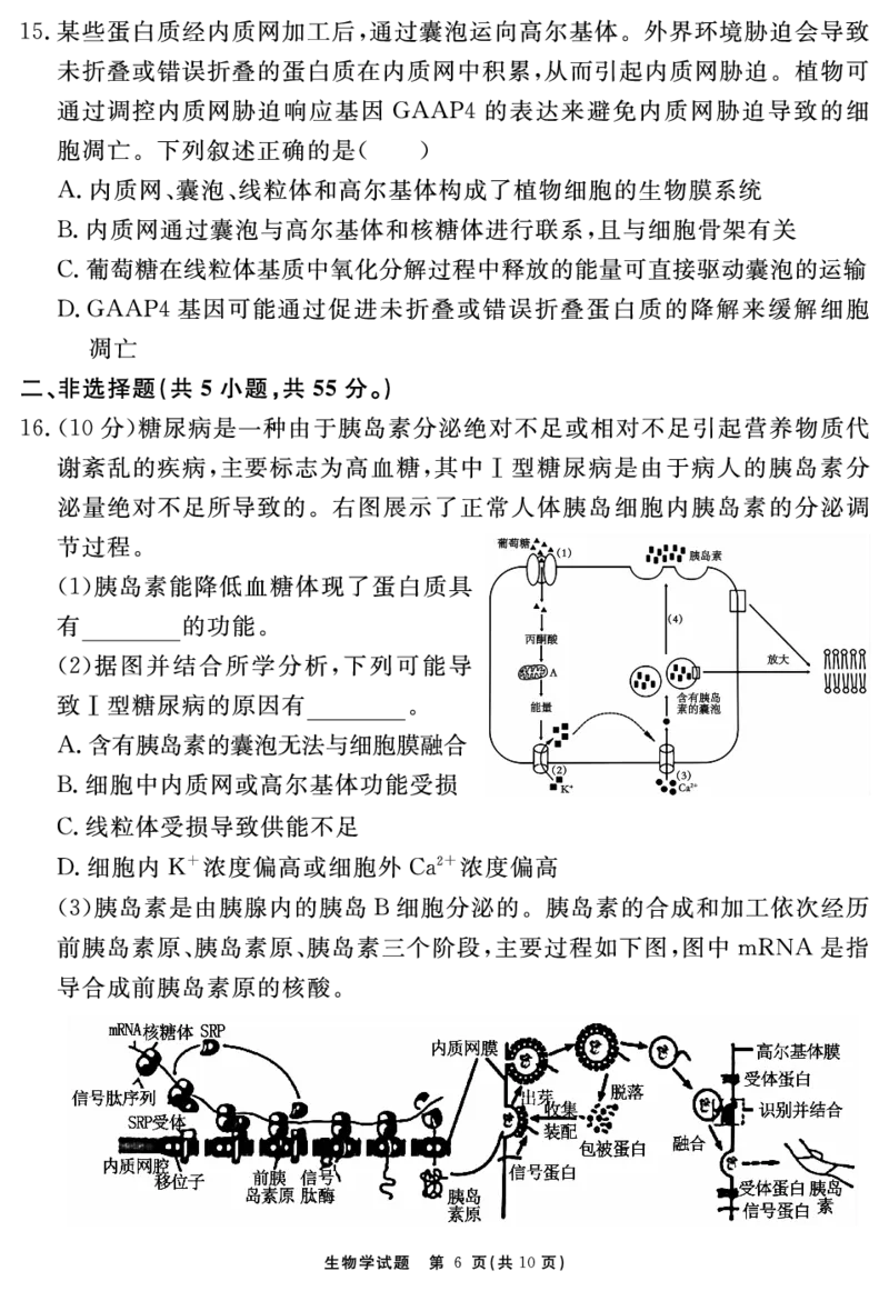 安徽省2025-2026学年度&ldquo;耀正优&rdquo;高三年级10月阶段检测生物_2025年10月_251017安徽省202-2026学年度&ldquo;耀正优&rdquo;高三年级10月阶段检测（全科）