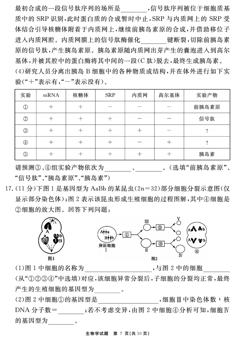 安徽省2025-2026学年度&ldquo;耀正优&rdquo;高三年级10月阶段检测生物_2025年10月_251017安徽省202-2026学年度&ldquo;耀正优&rdquo;高三年级10月阶段检测（全科）