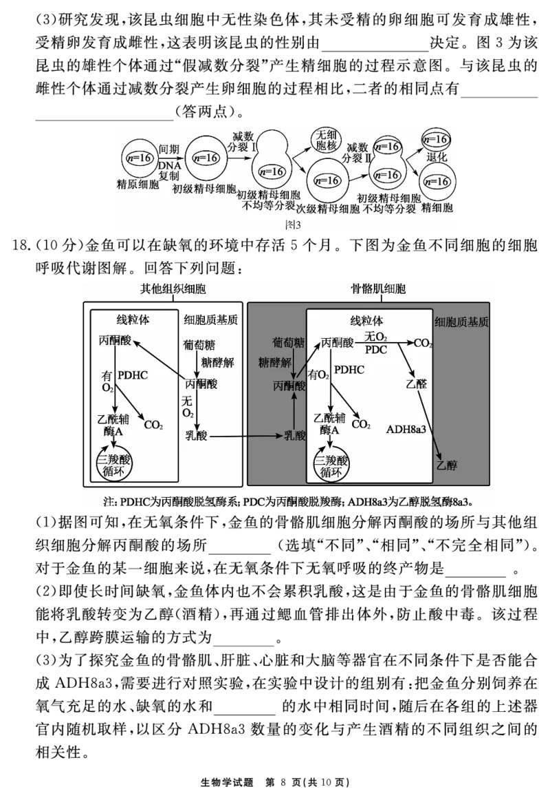 安徽省2025-2026学年度&ldquo;耀正优&rdquo;高三年级10月阶段检测生物_2025年10月_251017安徽省202-2026学年度&ldquo;耀正优&rdquo;高三年级10月阶段检测（全科）