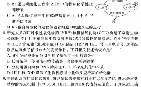 安徽省2025-2026学年度&ldquo;耀正优&rdquo;高三年级10月阶段检测生物_2025年10月_251017安徽省202-2026学年度&ldquo;耀正优&rdquo;高三年级10月阶段检测（全科）