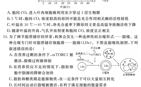 安徽省2025-2026学年度&ldquo;耀正优&rdquo;高三年级10月阶段检测生物_2025年10月_251017安徽省202-2026学年度&ldquo;耀正优&rdquo;高三年级10月阶段检测（全科）