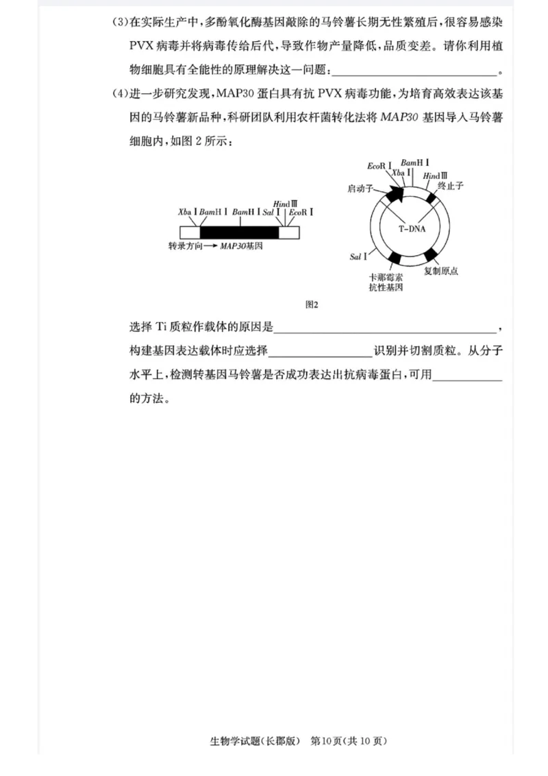 湖南省长沙市长郡中学2024-2025学年高三上学期月考（五）生物试卷_2025年1月_250124湖南省长沙市长郡中学2024-2025学年高三上学期月考（五）（全科）
