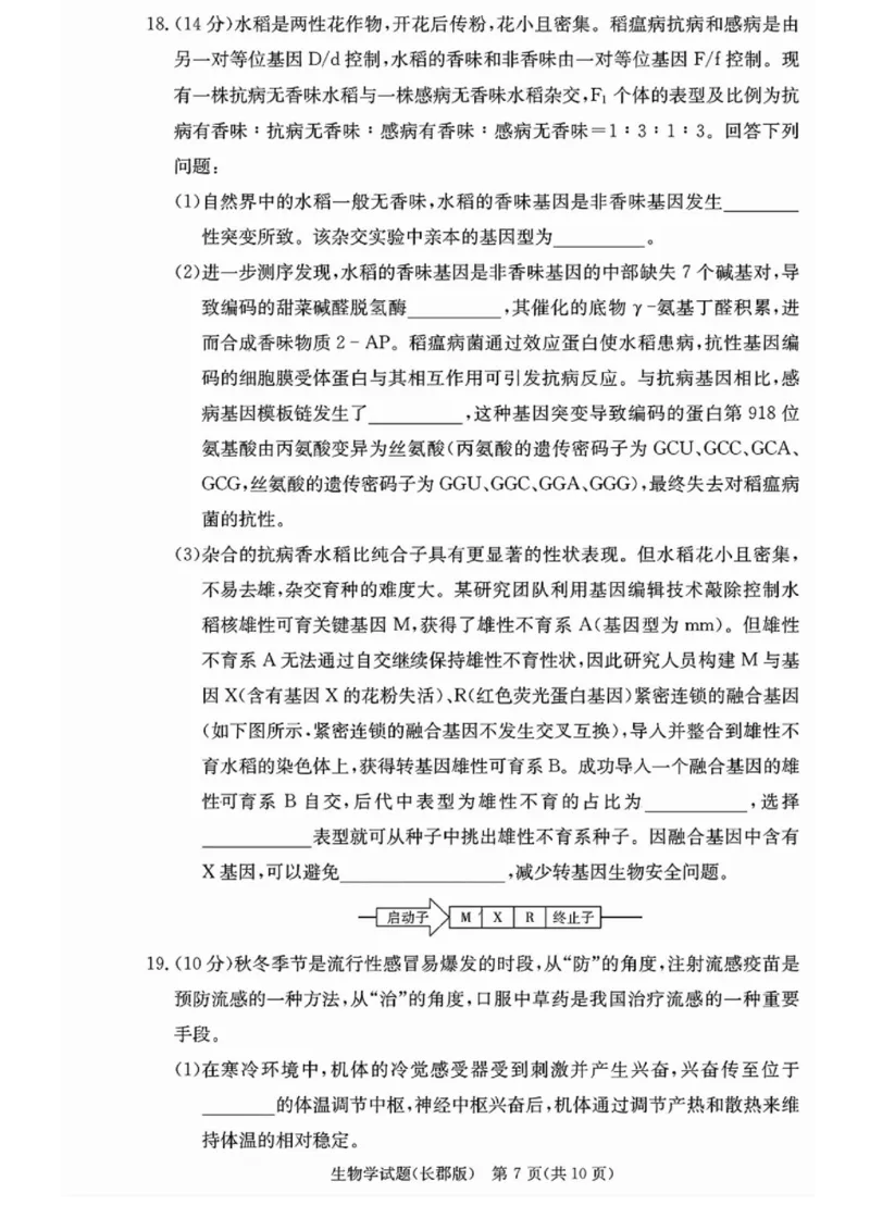 湖南省长沙市长郡中学2024-2025学年高三上学期月考（五）生物试卷_2025年1月_250124湖南省长沙市长郡中学2024-2025学年高三上学期月考（五）（全科）