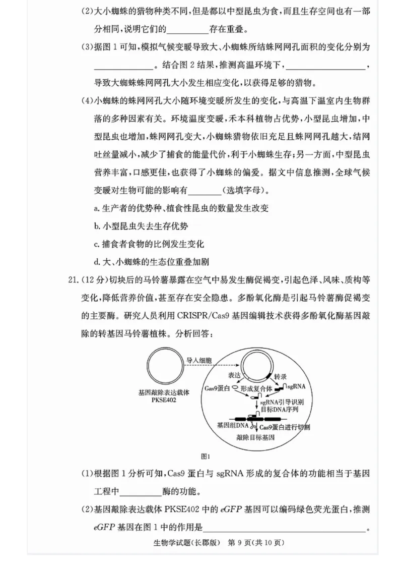 湖南省长沙市长郡中学2024-2025学年高三上学期月考（五）生物试卷_2025年1月_250124湖南省长沙市长郡中学2024-2025学年高三上学期月考（五）（全科）