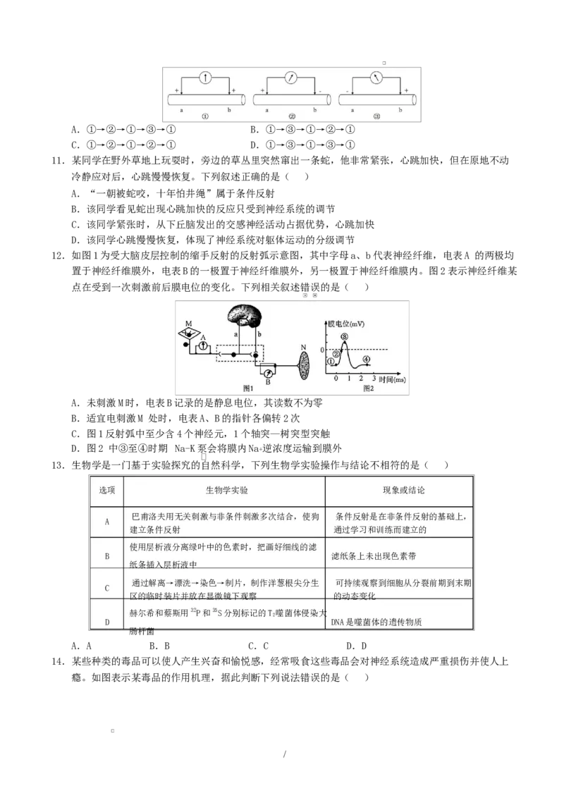 高二生物上学期第一次月考（陕晋青宁专用）（考试版）_1多考区联考试卷_2510142025-2026学年高二生物上学期第一次月考试题